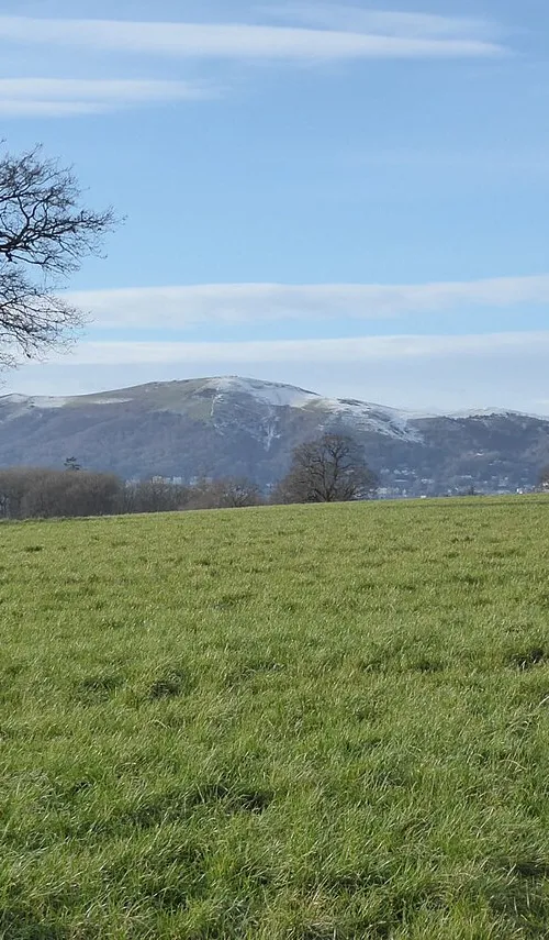 Whiteacres