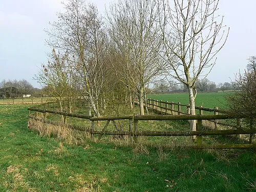 Swillbrook Lakes Nature Reserve