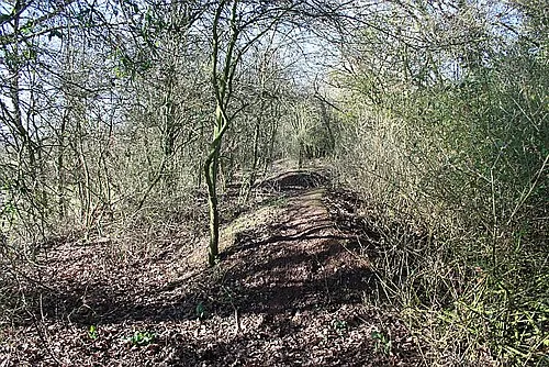 Brotheridge Green