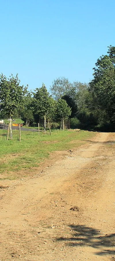2012 : Farm track east of Lower Seagry