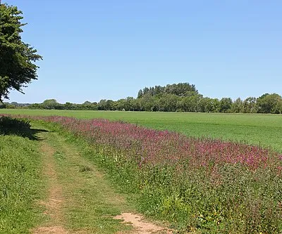 Bridleway
