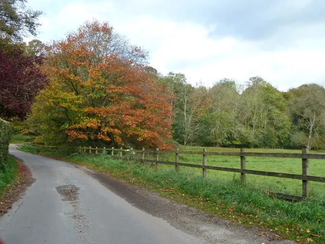 Autumn colour near Kirby House