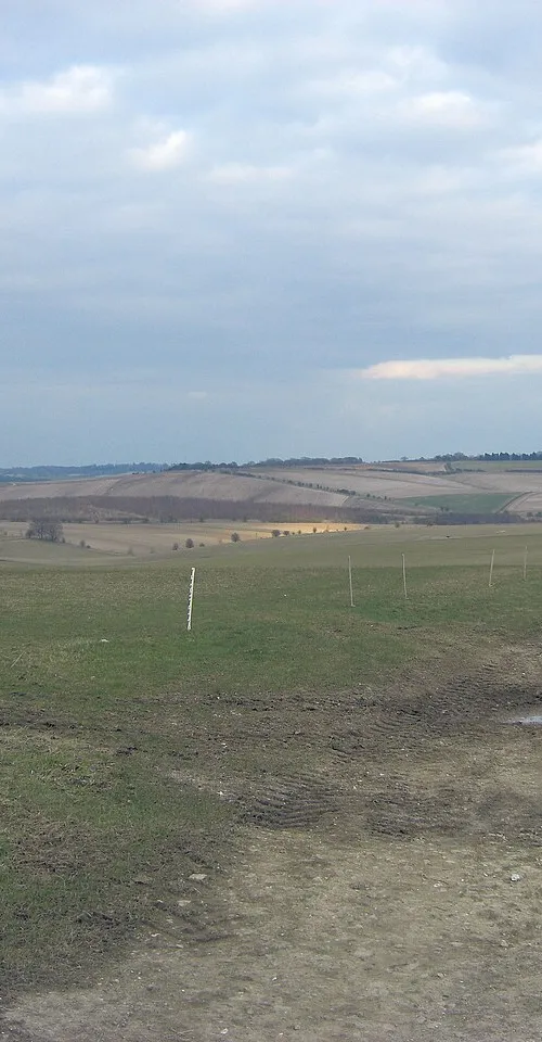Sheepdrove