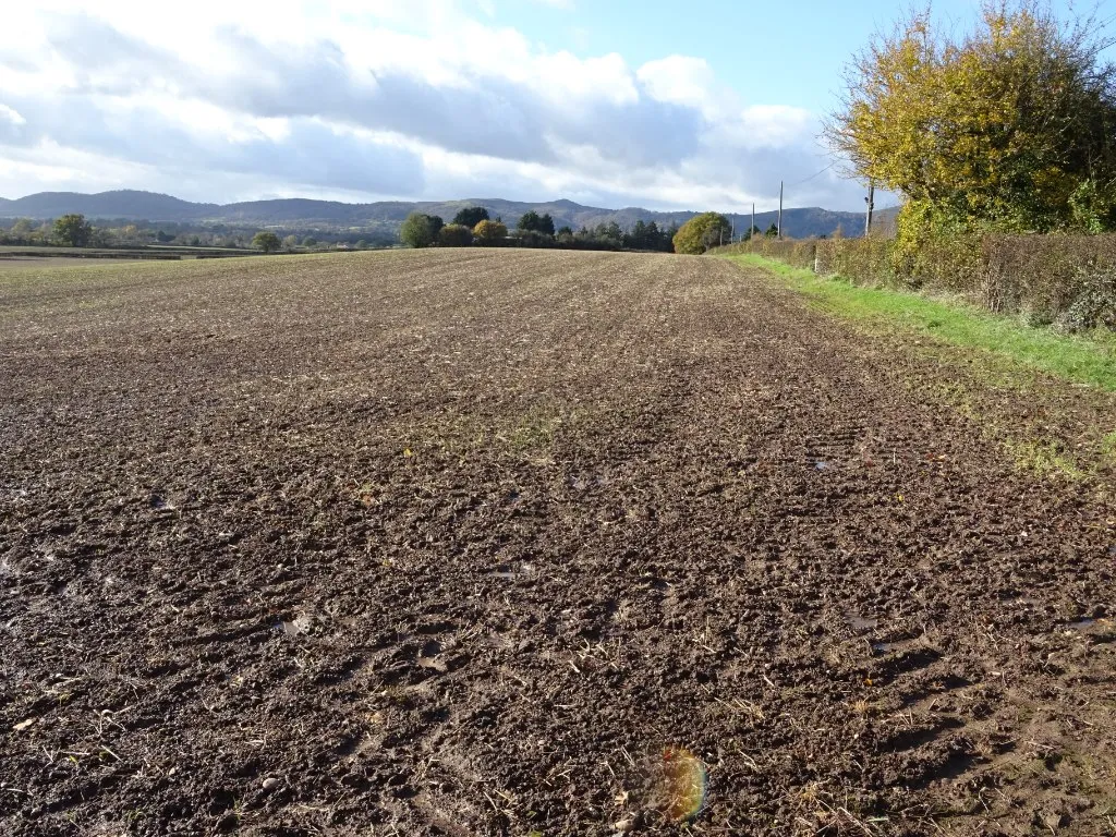 Arable field at Upper Hook