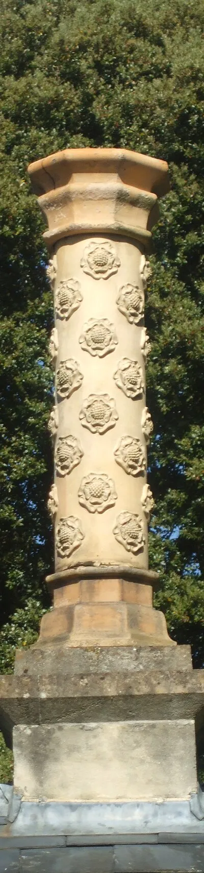 A rosy chimney