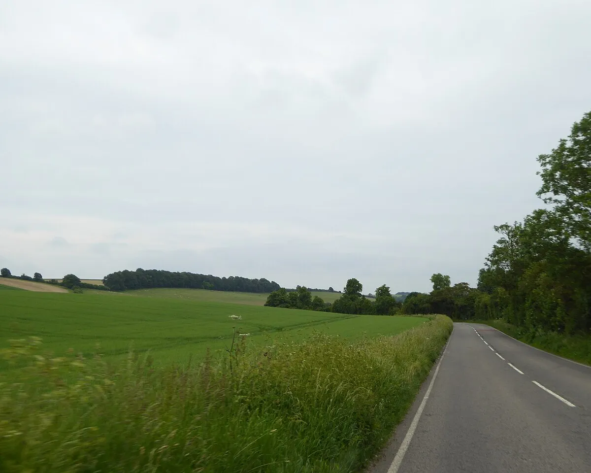 A338 and farmland south of the Fawley Memorial