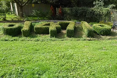 1471 topiary