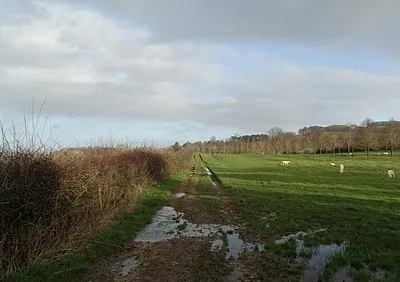 Cotswold Way, north of Wood Stanway