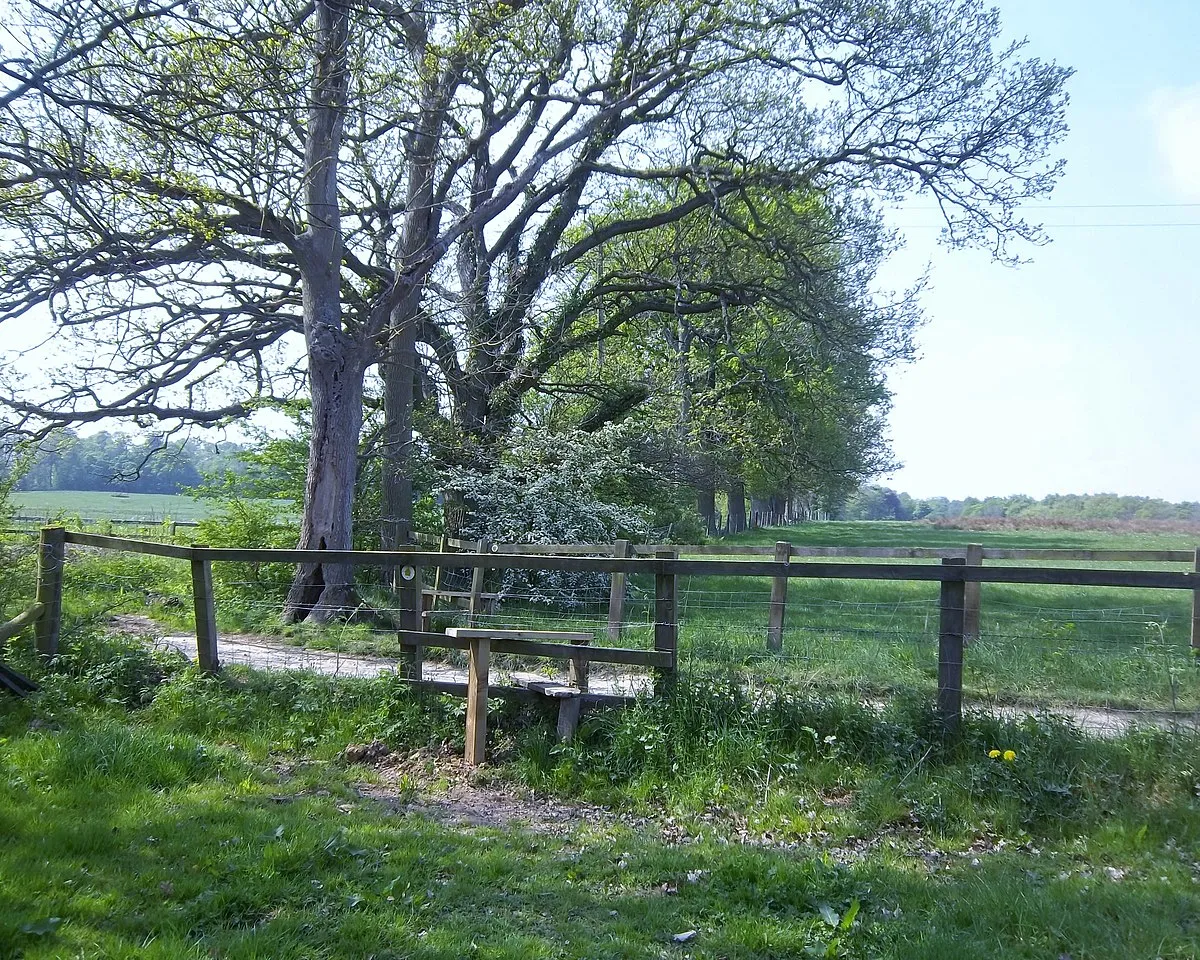 Across the drive