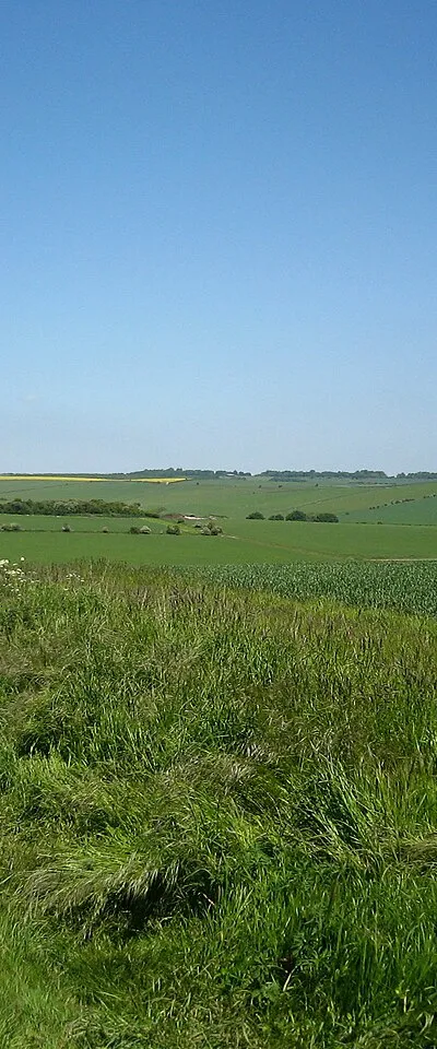 East Garston Down, Lambourn or North Wessex Downs, East Garston, Berkshire