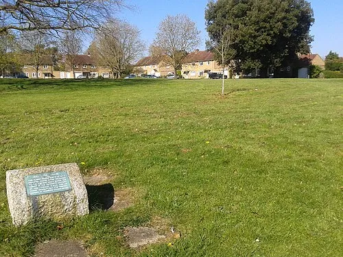 Fitzharry's Castle Mound