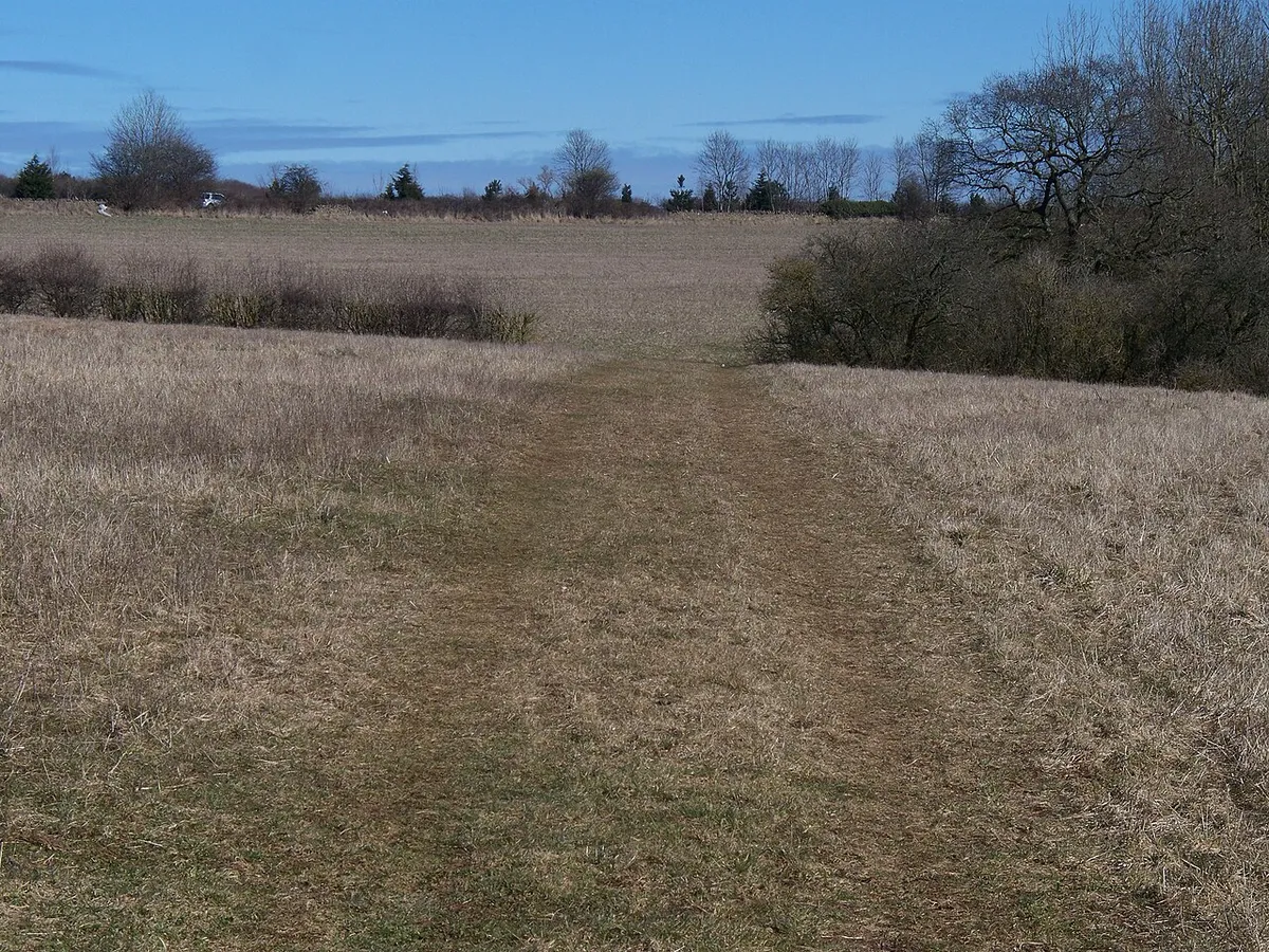 Across the field The footpath heads straight across the field past Lidstone Bottom woodland. This view is looking towards Church Enstone with the A44 road just beyond the hedge on the skyline.