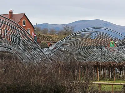 Clives Fruit Farm