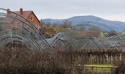 Clives Fruit Farm