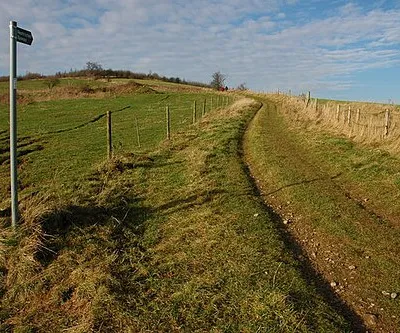 Footpath junction near Coberley The footpath splits at this point to the west of Coberley, the Gloucestershire Way biforcates left (out of picture) and this footpath continues towards Cuckoopen Barn Farm.