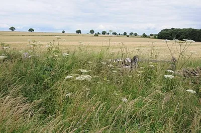 Arable land beside Ryknild Lane