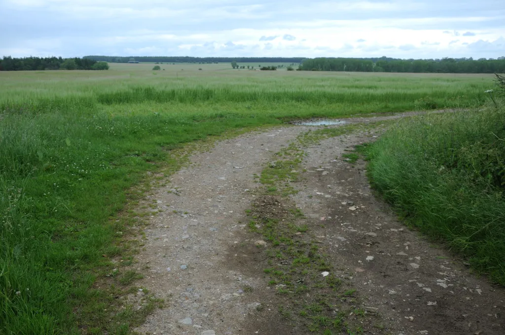 Arable land near Eastington