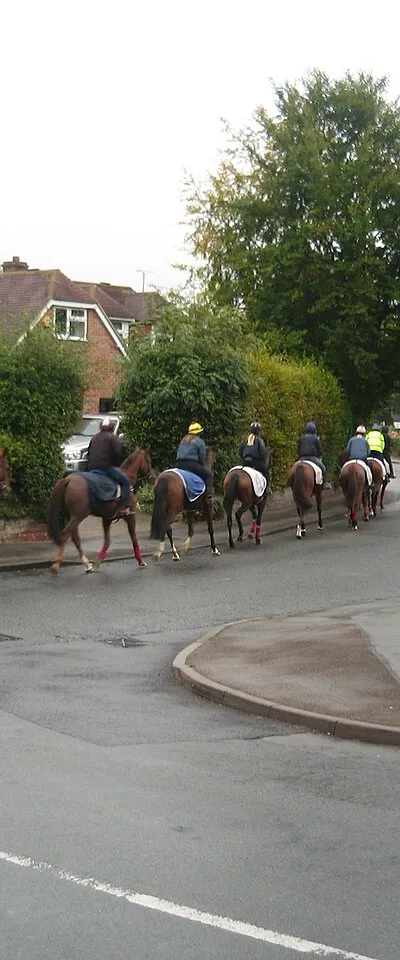 Jockeys taking horses to the gallops, Lambourn, Berkshire