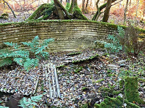 Water storage tank, Savernake Forest, Wiltshire (1)