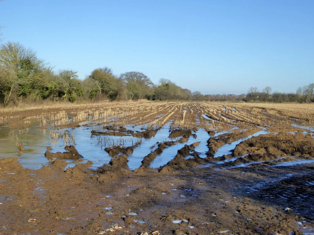 An icy field