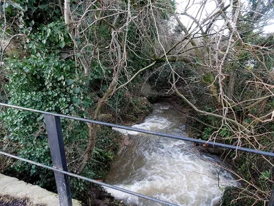 Arle Brook, Standish