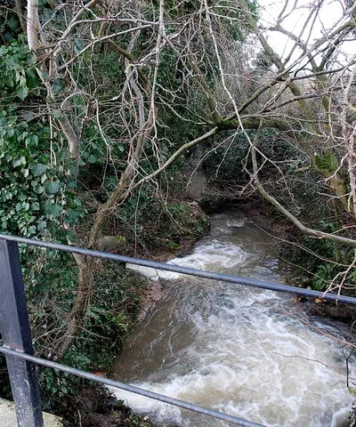 Arle Brook, Standish