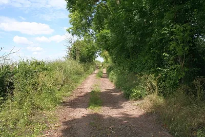 Bridleway to Drinkwaters The start of the old road at Longdon.
