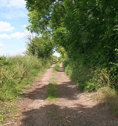Bridleway to Drinkwaters The start of the old road at Longdon.