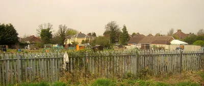 Allotments, Gloucester