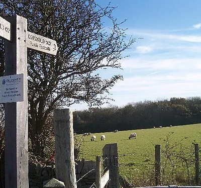 Arle Grove from the Cotswold Way. Woodland on the top of the Cotswolds. Viewed from the north west.