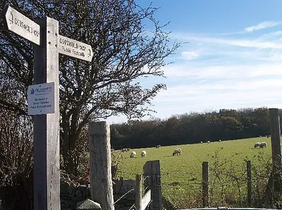 Arle Grove from the Cotswold Way. Woodland on the top of the Cotswolds. Viewed from the north west.