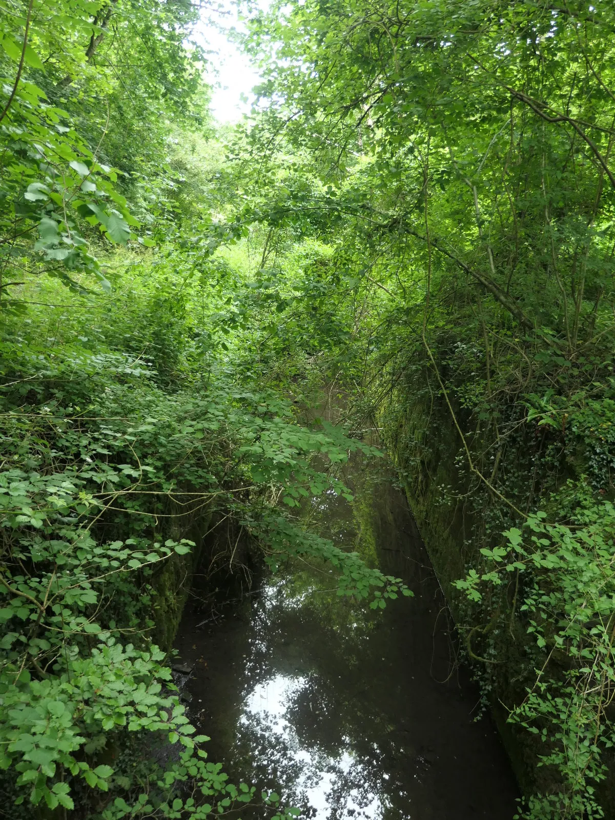 Bathurst Meadow Lock [35W], Thames and Severn Canal