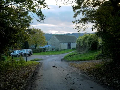 Approaching Ingalls Cottages
