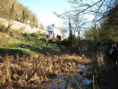 Below St Mary's Lock The reed infested bed of the Thames and Severn Canal approaching St Mary's Lock just beyond the bridge.  Three modes of transport are threaded through the narrow valley of the River Frome at this point.  The GWR Gloucester -Swindon line is on the ledge below the wall just to the left of the house by St Mary's Crossing whilst above the wall is the main Stroud - Cirencester Road.