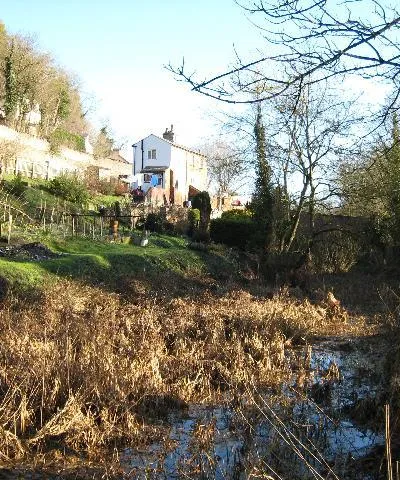 Below St Mary's Lock The reed infested bed of the Thames and Severn Canal approaching St Mary's Lock just beyond the bridge.  Three modes of transport are threaded through the narrow valley of the River Frome at this point.  The GWR Gloucester -Swindon line is on the ledge below the wall just to the left of the house by St Mary's Crossing whilst above the wall is the main Stroud - Cirencester Road.
