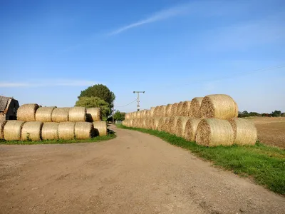 Avenue of Bales