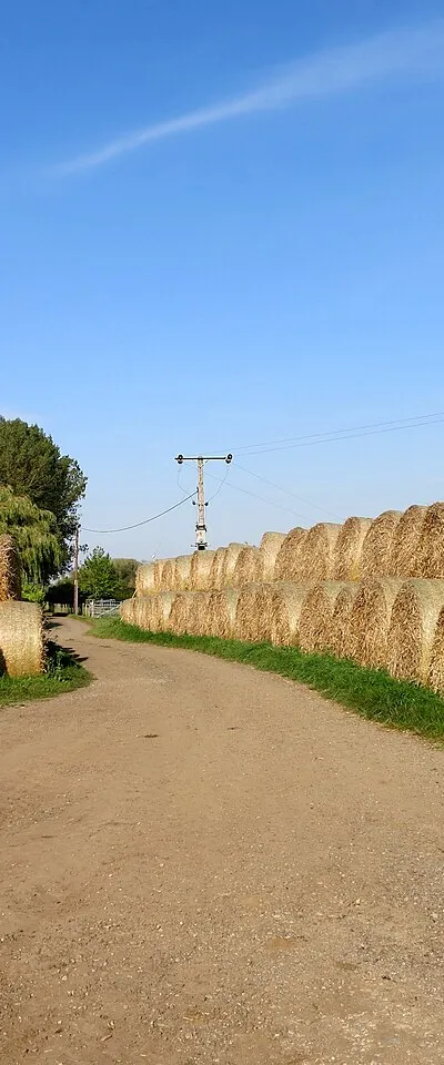 Avenue of Bales