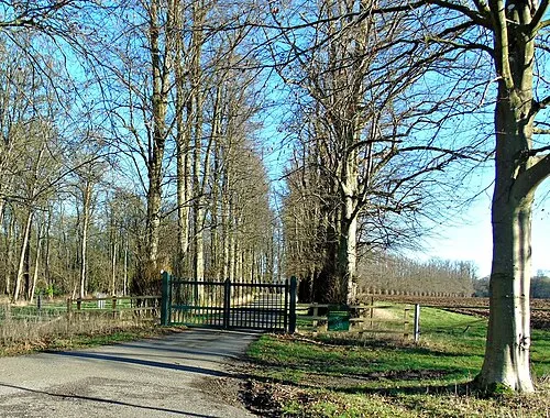D'Arcy Dalton Way