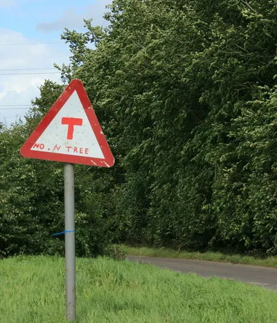 A sign of the times, near Thingley And at Christmas we have no L trees.