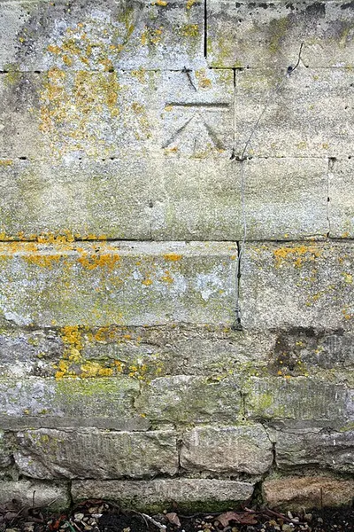 Benchmark on Springlock Lodge