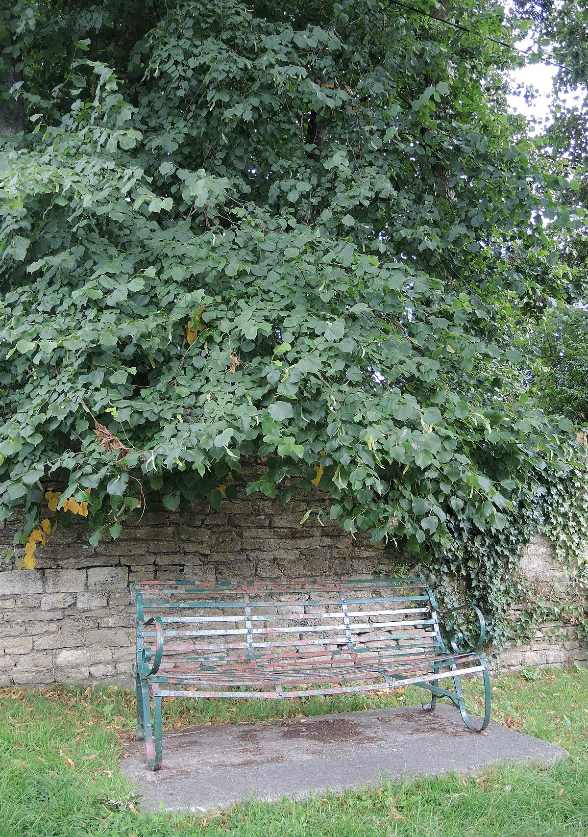 A bar bench