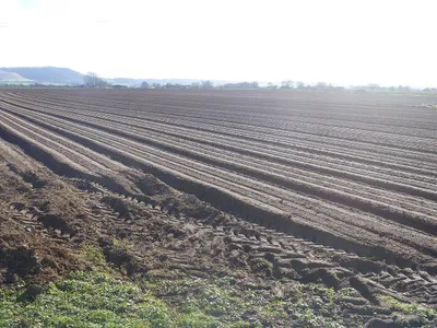 A walk around Bromham [2]