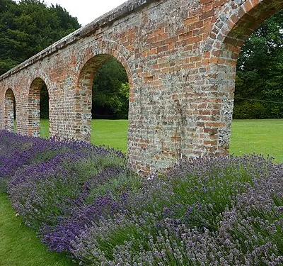 Arched wall and lavender bed bordering The Monk's Garden, Highclere Castle