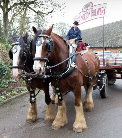 Brewery Dray, Hook Horton