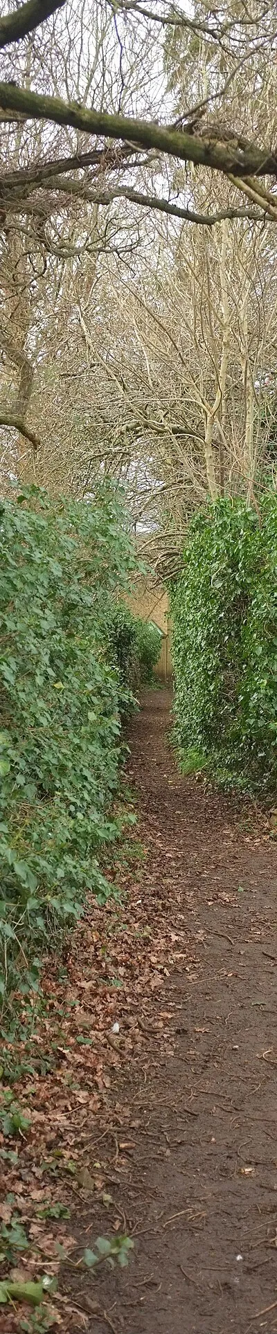 D'Arcy Dalton Way, Hook Norton