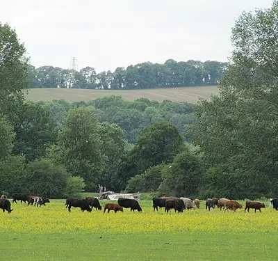 View from Round Hill