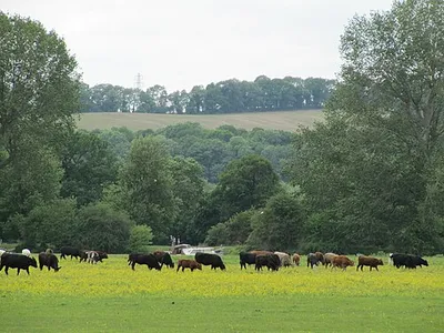 View from Round Hill