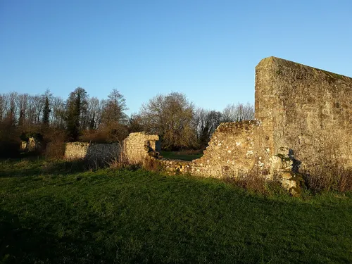 Godstow Abbey
