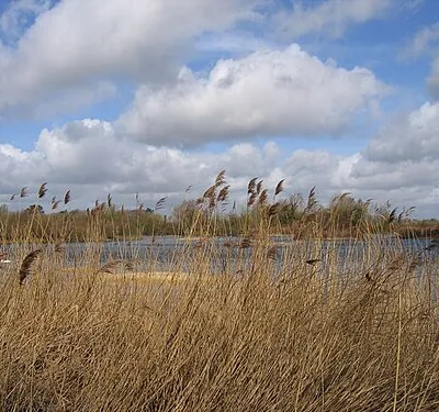 Coke's Pit Local Nature Reserve Somerford Keynes. A recently created LNR, from one of the oldest gravel pits in the area.