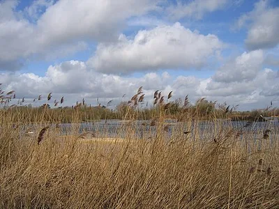 Coke's Pit Local Nature Reserve Somerford Keynes. A recently created LNR, from one of the oldest gravel pits in the area.